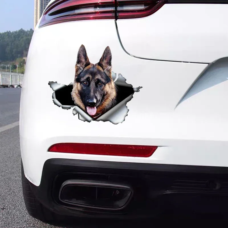 Car Sticker Self-adhesive 3D D – обзор и цена Weight Plate Bumper