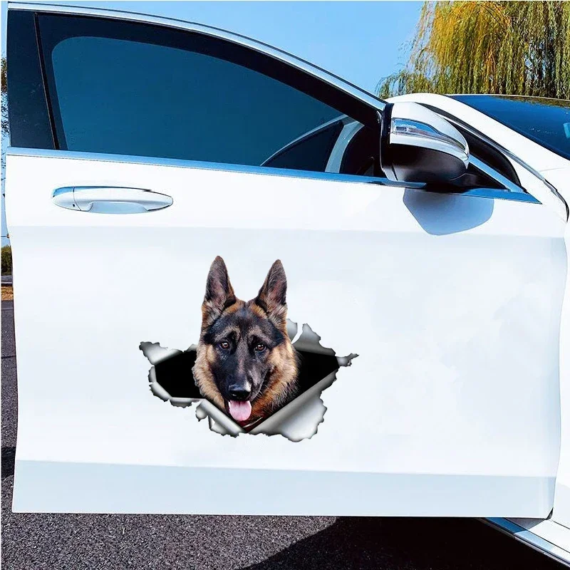 Car Sticker Self-adhesive 3D D – обзор и цена Weight Plate Bumper