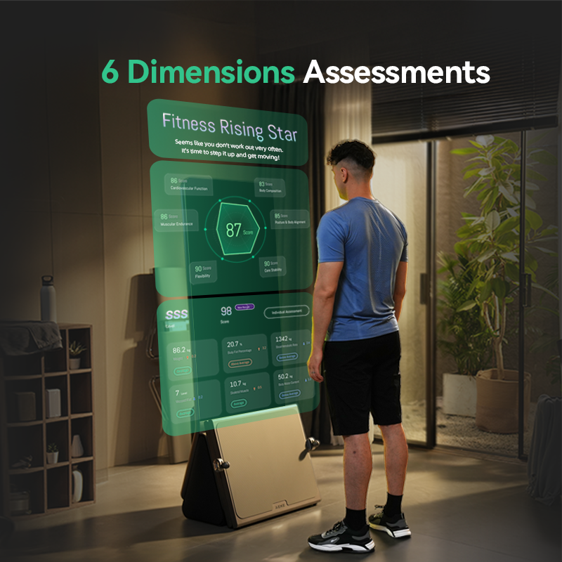Ai Smart Fitness Mirrors Luxur – обзор и цена Home Gym Luxury